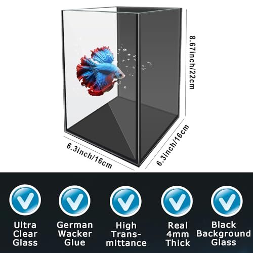 1.5 Gallon Glass Betta Fish Tank with LED Light and Power Filter N577