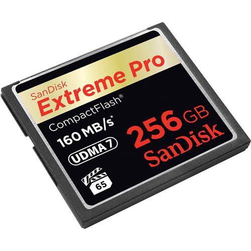 256 GB Compact Flash Memory Card Z28386