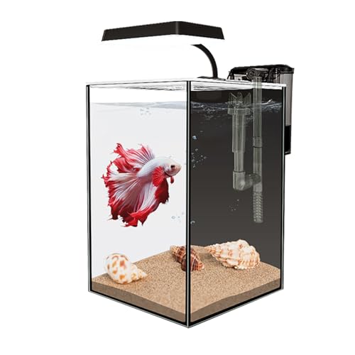 1.5 Gallon Glass Betta Fish Tank with LED Light and Power Filter N577