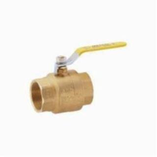 1.5 IP Brass Ball Valves Z566