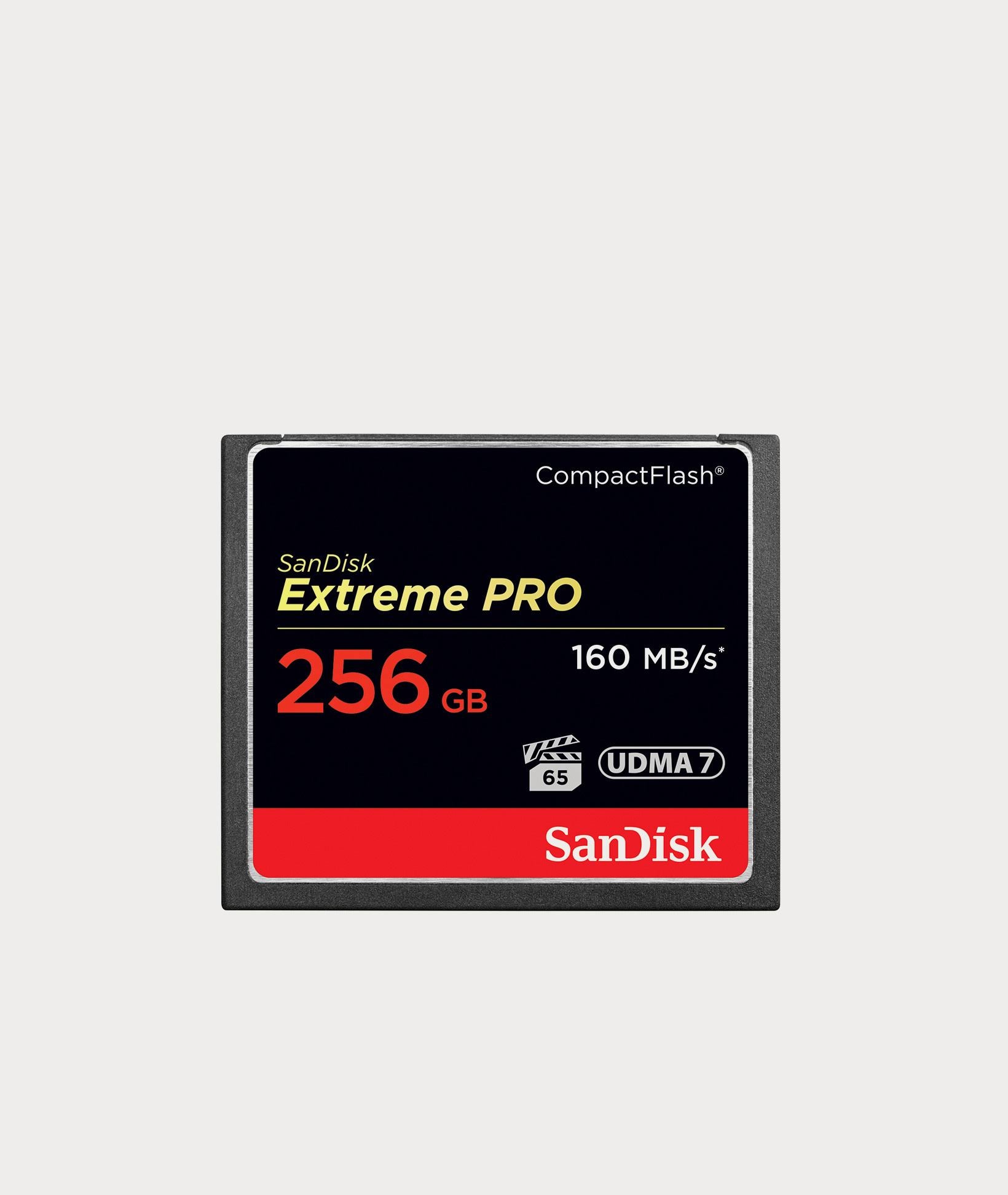 256 GB Compact Flash Memory Card Z28386