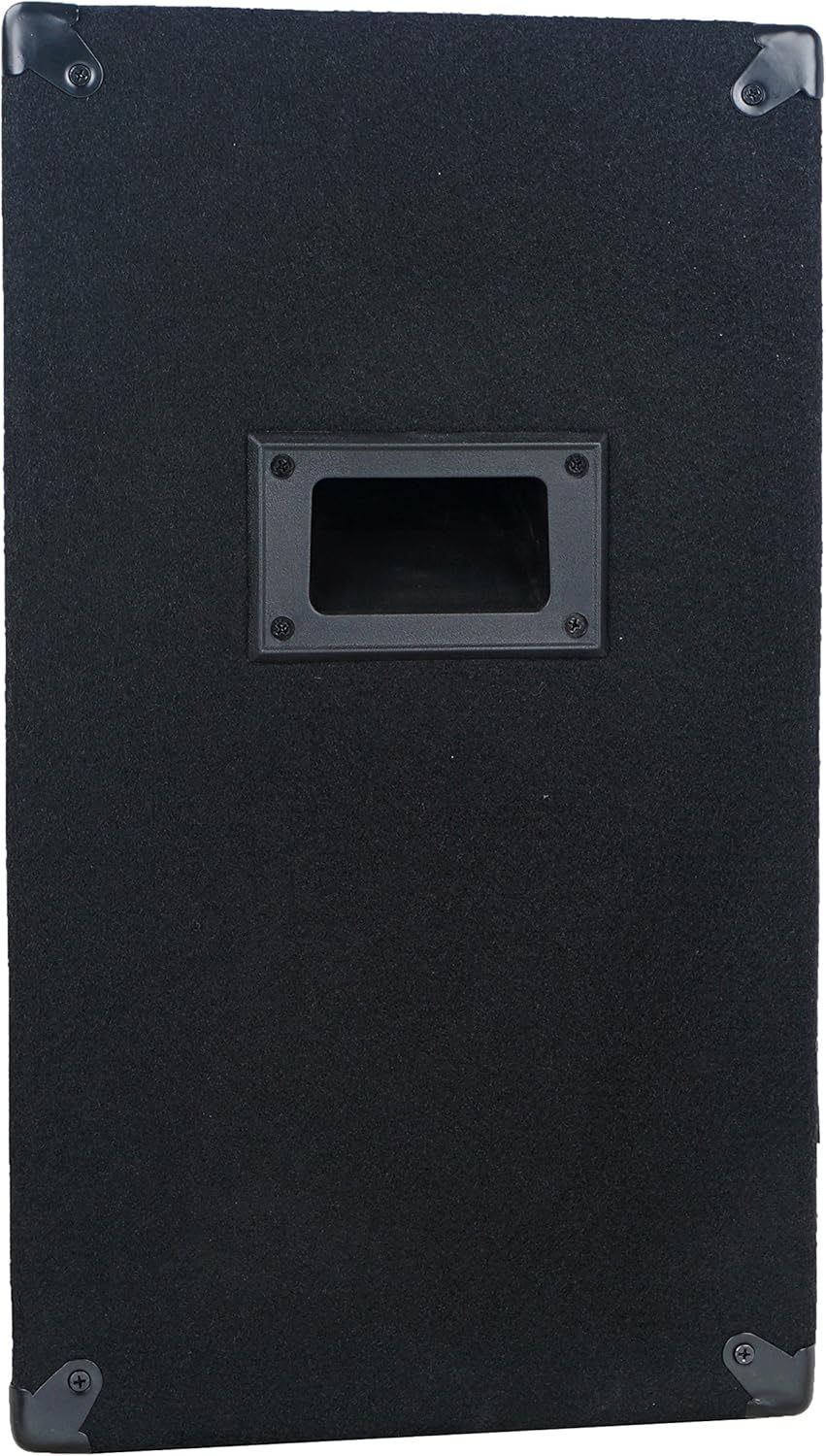10 Full-Range Passive PA Speaker V4906