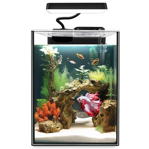 1.5 Gallon Glass Betta Fish Tank with LED Light and Power Filter N577