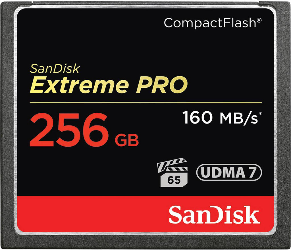 256 GB Compact Flash Memory Card Z28386